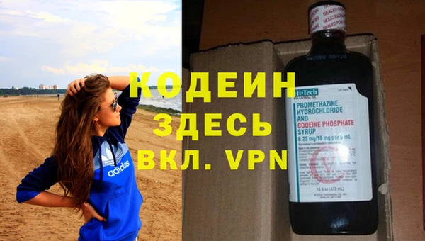 индика Сатка