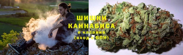 трава Дмитров